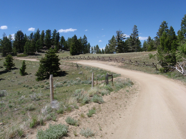 Down the west side of NF-84 on the GDMBR.